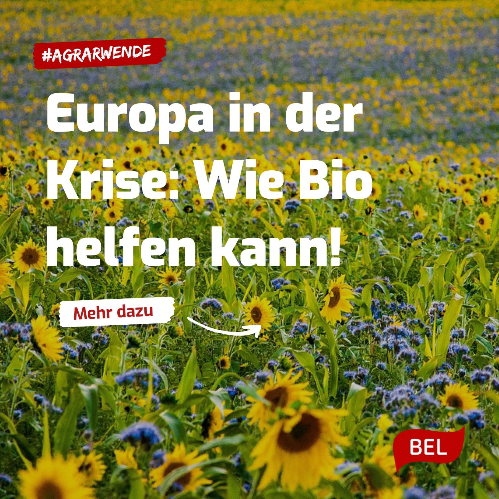 Europa in der Krise: Wie die Ökologisierung der Landwirtschaft helfen könnte