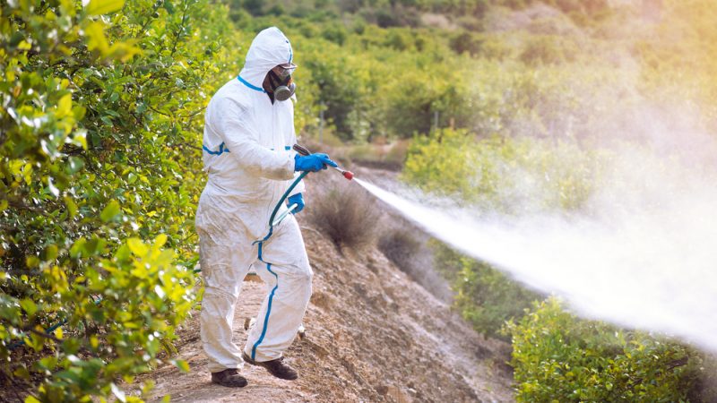 Ausstieg aus der Anwendung von chemisch-synthetischen Pestiziden!